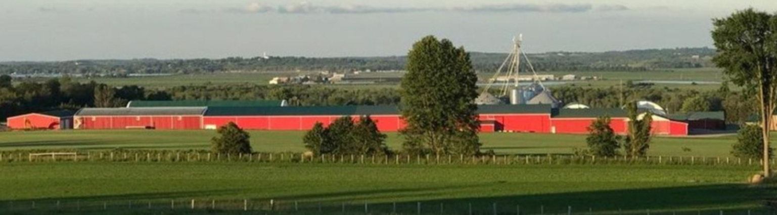 Gwillimdale Farms