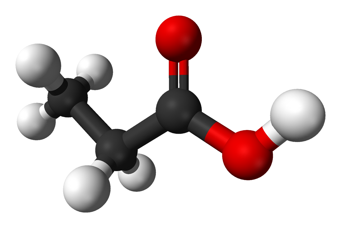 Propionic Acid Market